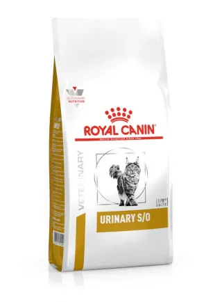 Urinary S/O gatto Royal Canin