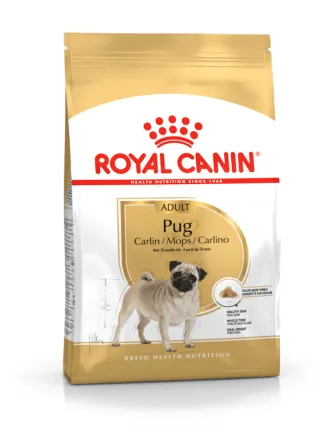 Carlino PUG Adult Royal Canin