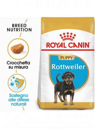 Rottweiler puppy Royal canin 12kg