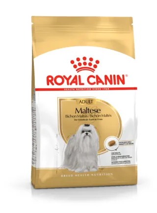 Maltese Adult Royal Canin