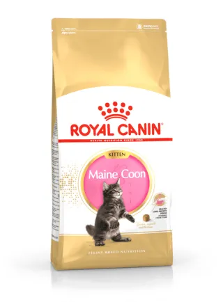 Kitten maine coon Royal Canin 400 gr