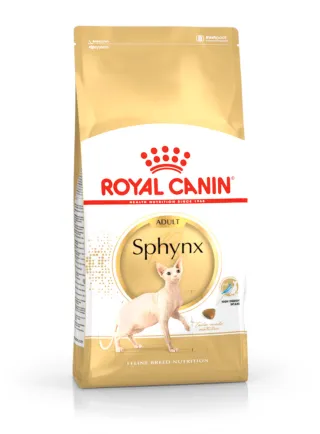 Sphynx Royal Canin
