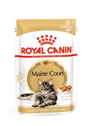 Maine Coon buste Royal Canin