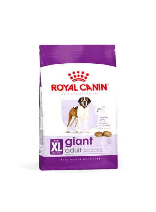 Giant Adult cane Royal Canin