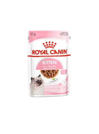 Kitten buste Royal Canin