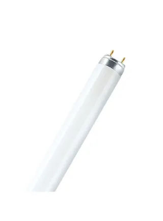 Lampada Philips T8 30W