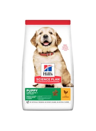 Hill's Canine Puppy Large Breed Chicken 12 kg danneggiato
