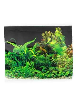 Sfondo per acquario Piante Nero SF4