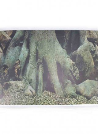 Sfondo per acquario Radici SF7 100x49h cm
