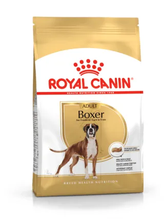Boxer Adult Royal Canin