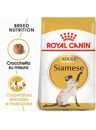 Siamese Royal Canin