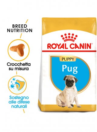 Carlino puppy Royal Canin
