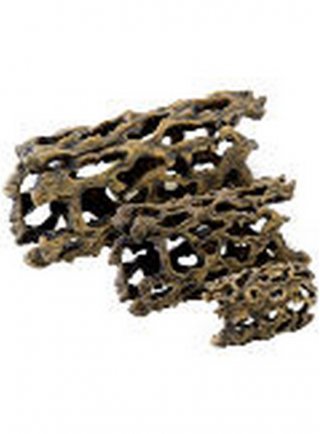 Exo Terra Cholla Cactus M
