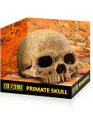 RIfugio per rettili Primate Skull Small