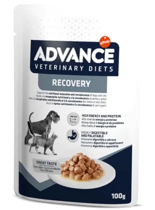 ADVANCE VETERINARY DOG&CAT RECOVERY 100gr