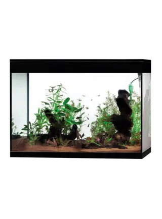 VASCA RICAMBIO ACQUARIO ASKOLL PURE XL HIGH CUBE