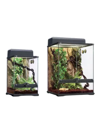 Terrarium habitat kit rainforest terrario phelsuma