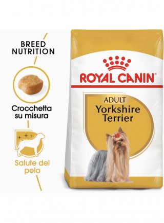 Yorkshire Terrier Adult Royal Canin