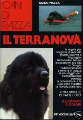 Cani di razza: Il terranova