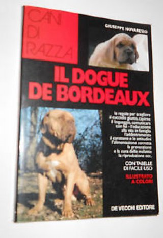 Il dogue de bordeaux