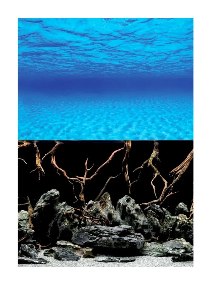 Amtra sfondo per acquario 60 x 150 cm