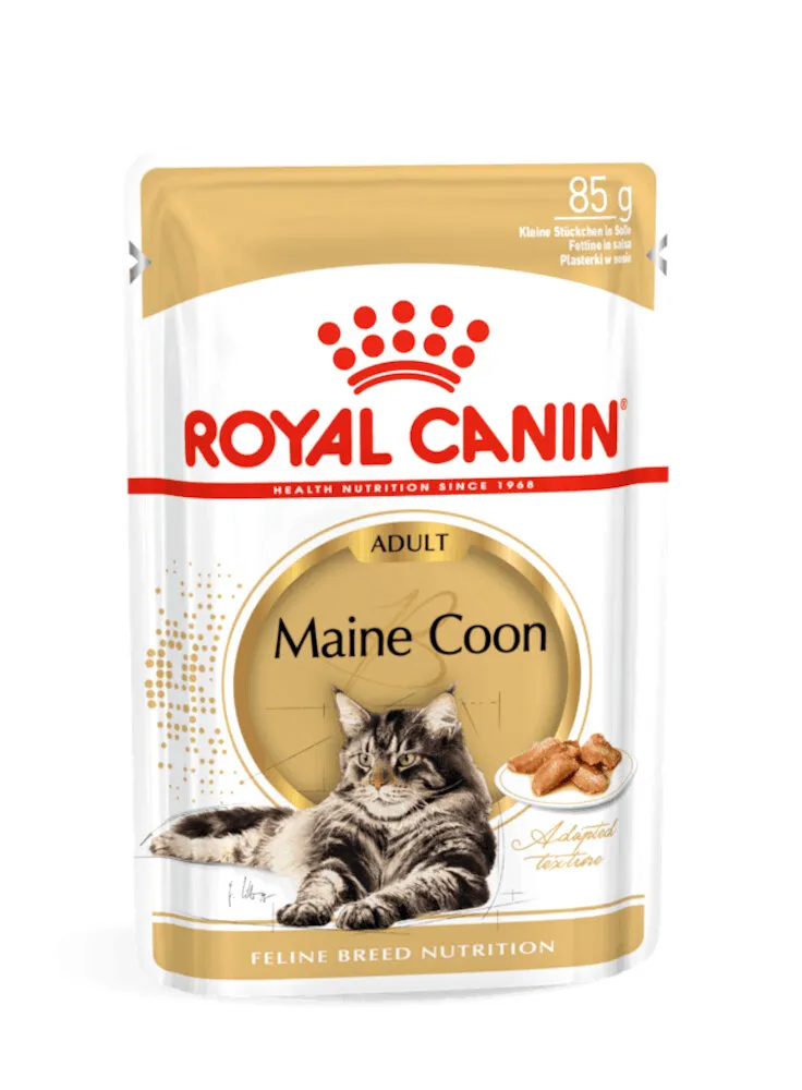 Maine Coon buste Royal Canin 12x85 gr
