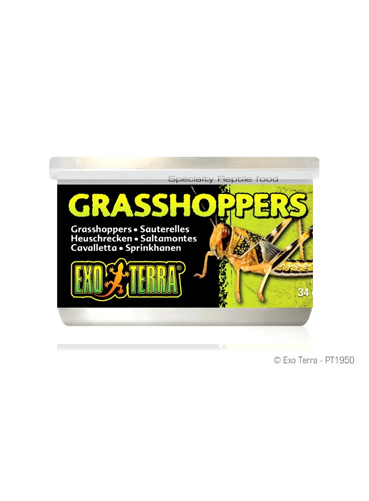exoterra grasshoppers 34gr cavallette PT 1950