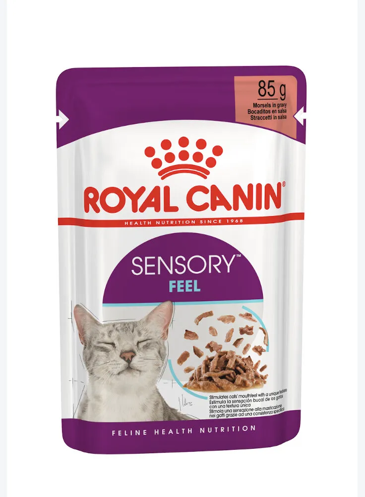 Royal Canin gatto SENSORY FEEL Salsa 12X85G