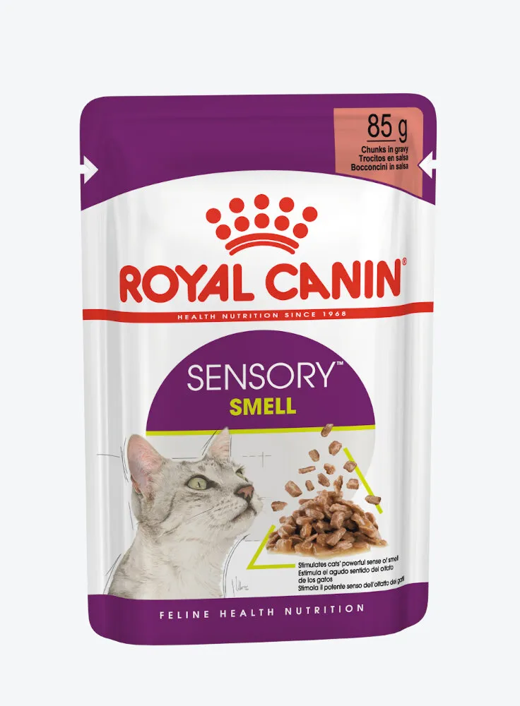 Royal Canin gatto SENSORY SMELL Salsa 12X85G