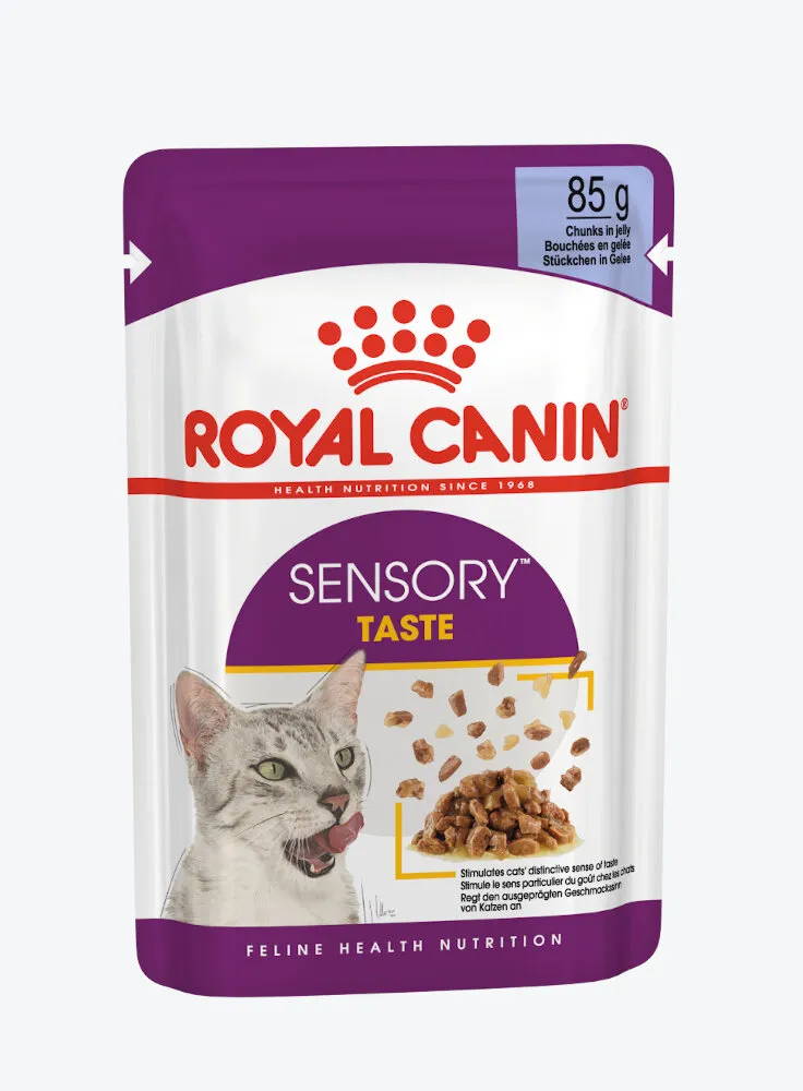 Royal Canin gatto SENSORY TASTE Jelly 12X85G