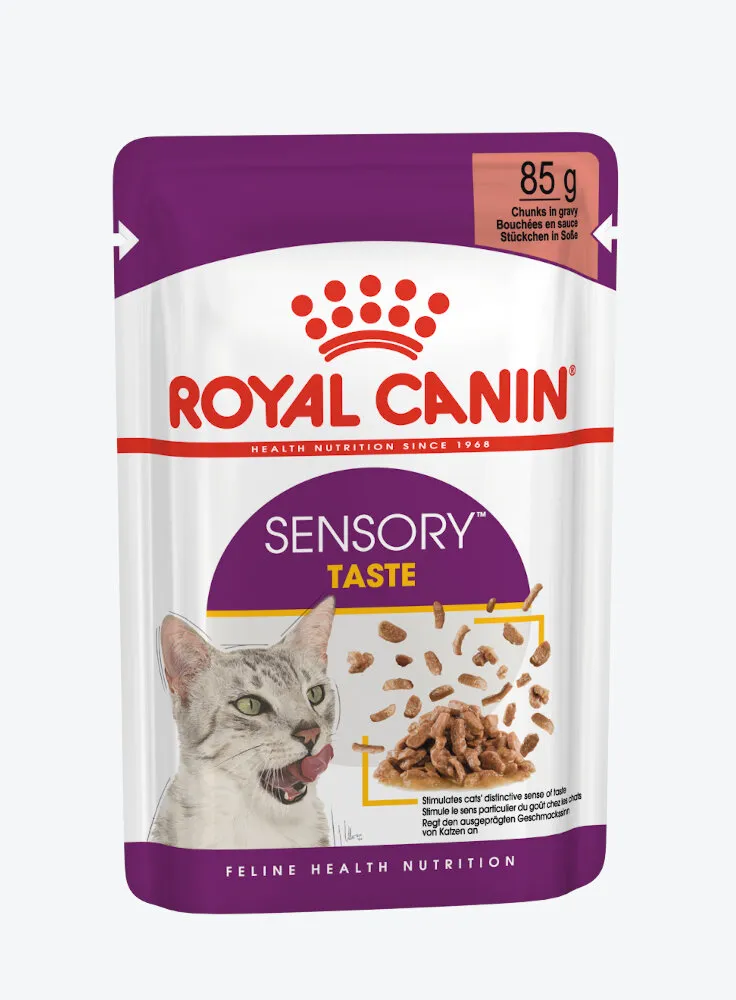 Royal Canin gatto SENSORY TASTE Salsa 12X85G